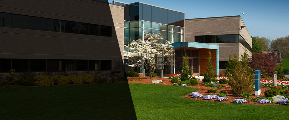 Albert Lea Landscapers