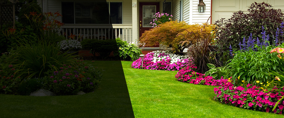 Albert Lea Landscapers
