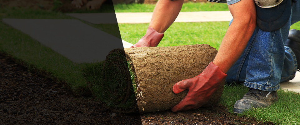 Albert Lea Landscapers